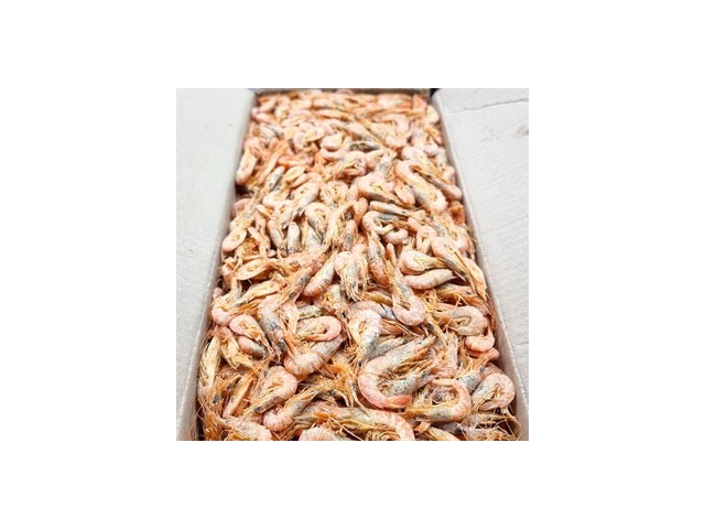 국내산건새우1.5kg 추천 TOP 인기템 비교 분석