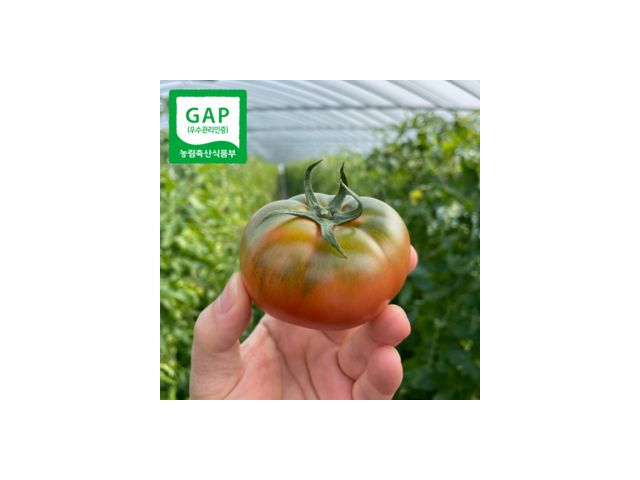 부산대저토마토 | 판매량 1위! 베스트셀러 제품 리뷰