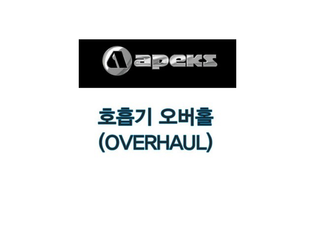 아펙스호흡기 내돈내산 솔직 사용후기