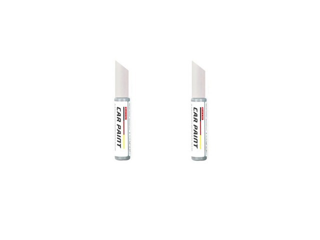 카니발페인트 쇼핑 정보 공유